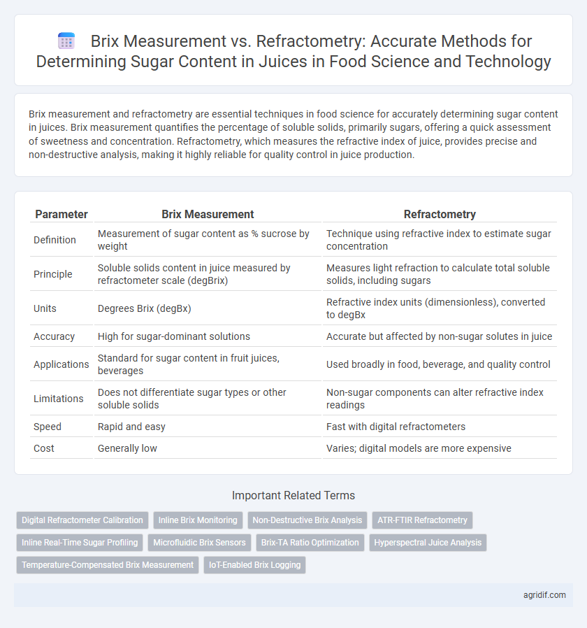 Brix Measurement vs. Refractometry: Accurate Methods for Determining Sugar Content in Juices in Food Science and Technology