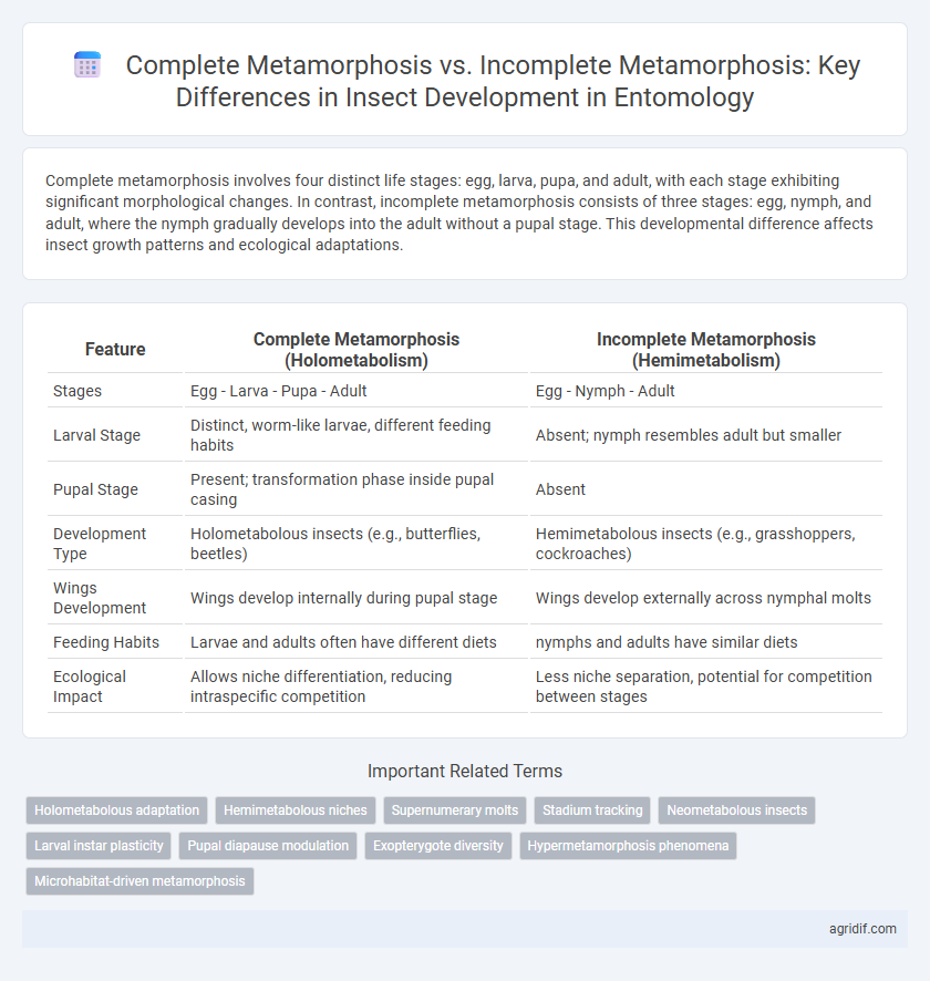 Complete Metamorphosis vs. Incomplete Metamorphosis: Key Differences in Insect Development in Entomology