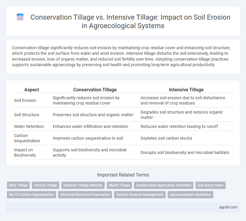 Conservation Tillage vs. Intensive Tillage: Impact on Soil Erosion in Agroecological Systems
