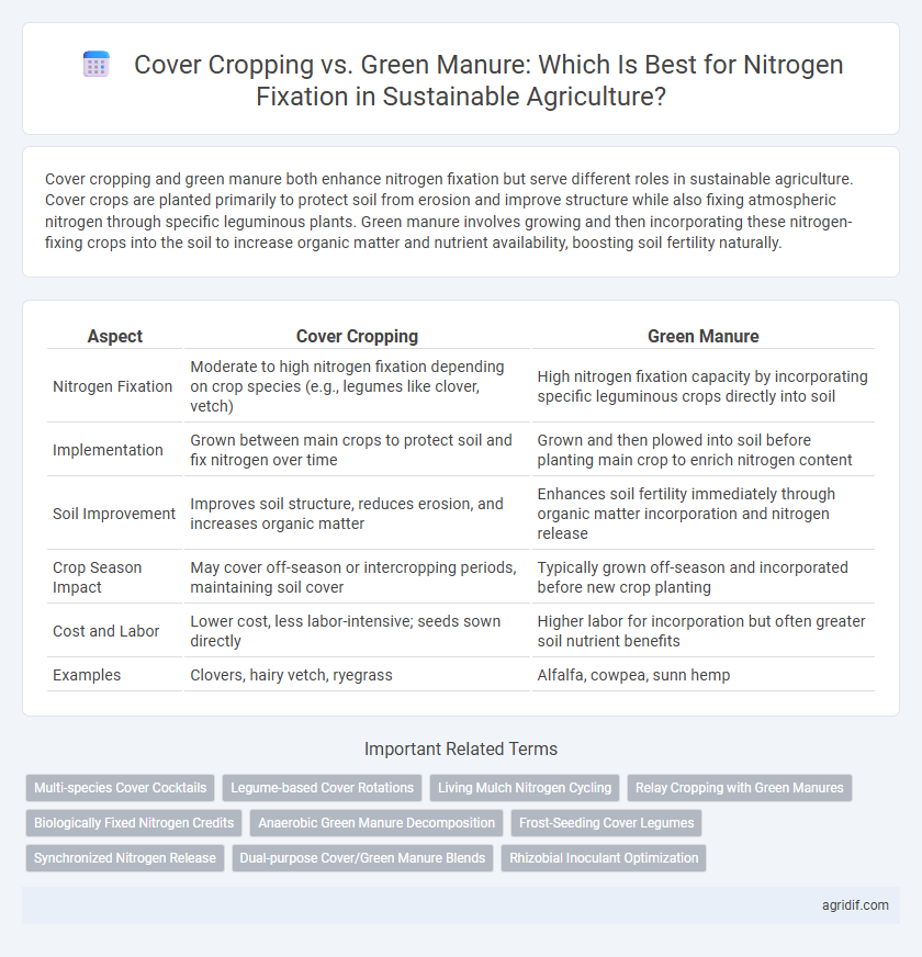Cover Cropping vs. Green Manure: Which Is Best for Nitrogen Fixation in Sustainable Agriculture?