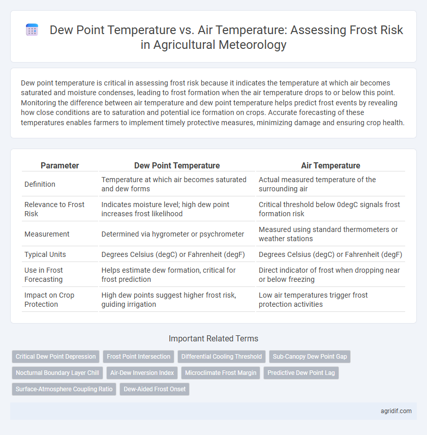 Dew Point Temperature vs. Air Temperature: Assessing Frost Risk in Agricultural Meteorology
