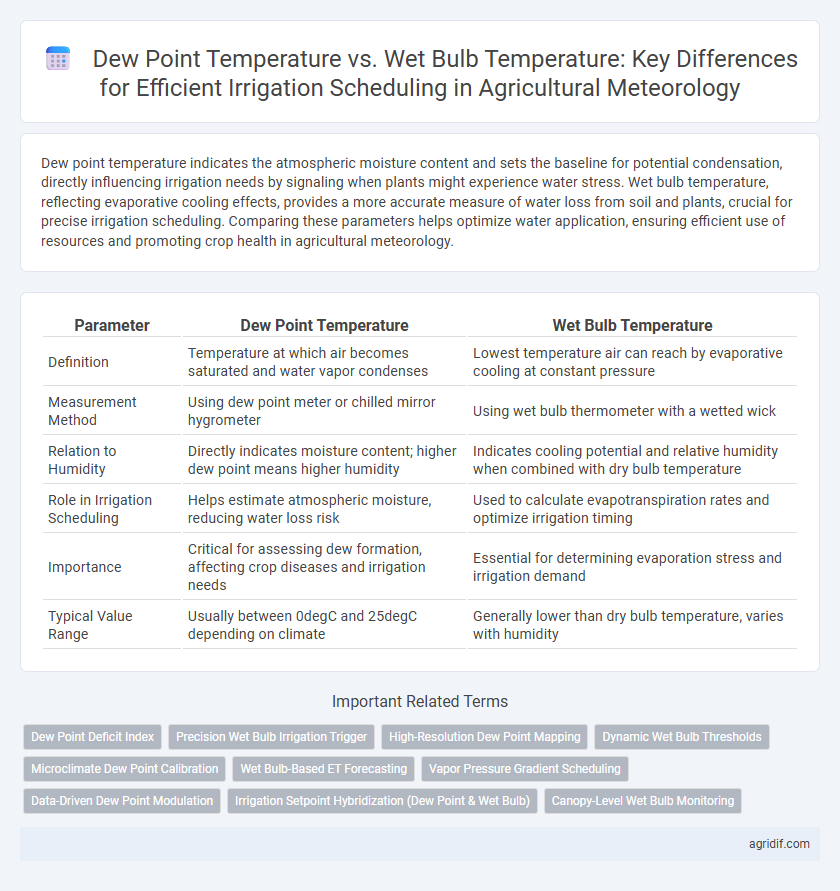 Dew Point Temperature vs. Wet Bulb Temperature: Key Differences for Efficient Irrigation Scheduling in Agricultural Meteorology