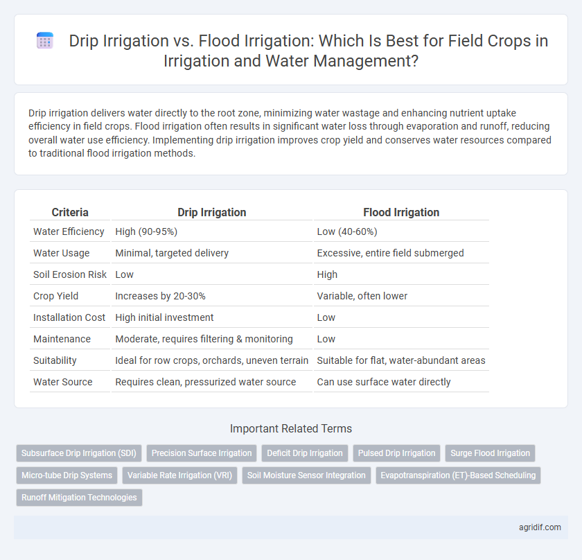 Drip Irrigation vs. Flood Irrigation: Which Is Best for Field Crops in Irrigation and Water Management?