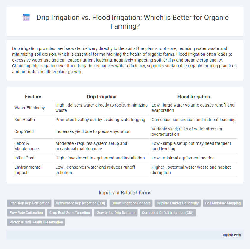 Drip Irrigation vs. Flood Irrigation: Which is Better for Organic Farming?