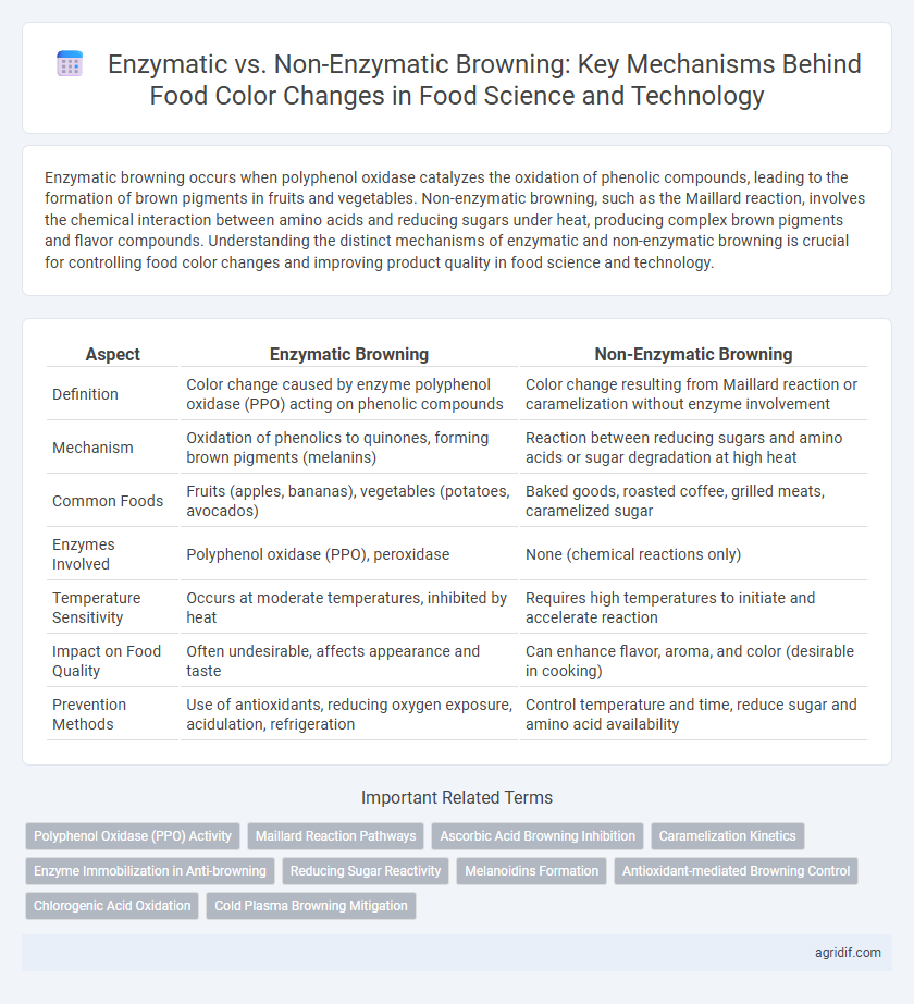 Enzymatic vs. Non-Enzymatic Browning: Key Mechanisms Behind Food Color Changes in Food Science and Technology