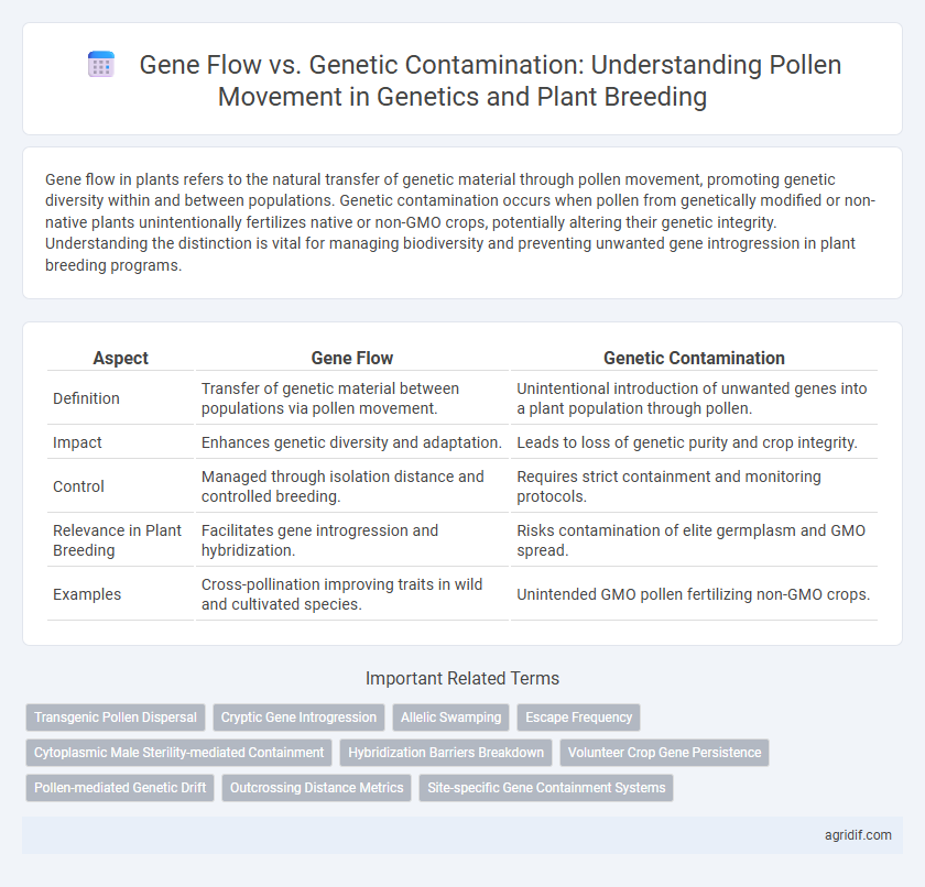 Gene Flow vs. Genetic Contamination: Understanding Pollen Movement in Genetics and Plant Breeding