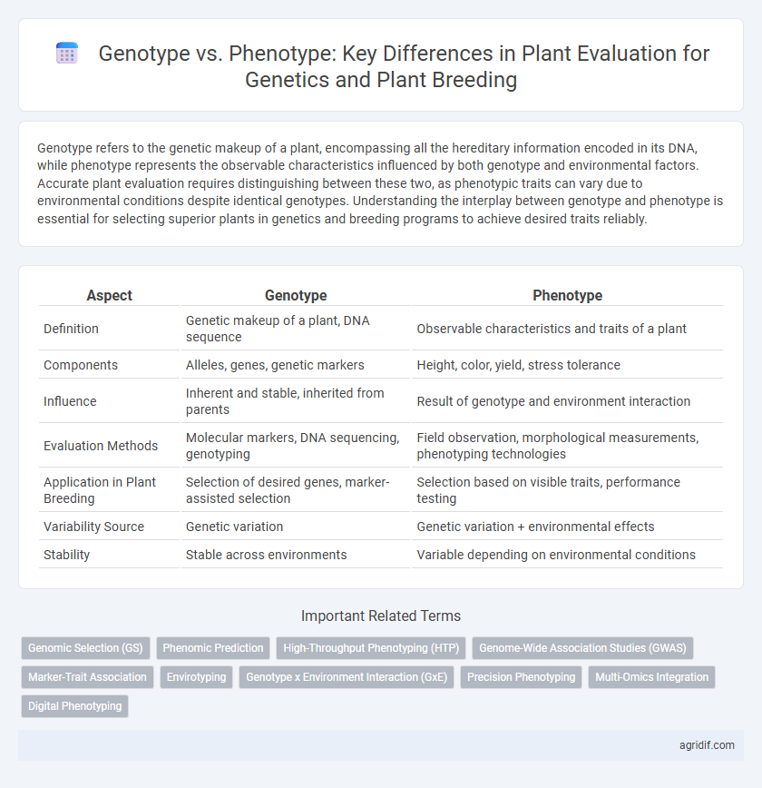 Genotype vs. Phenotype: Key Differences in Plant Evaluation for Genetics and Plant Breeding