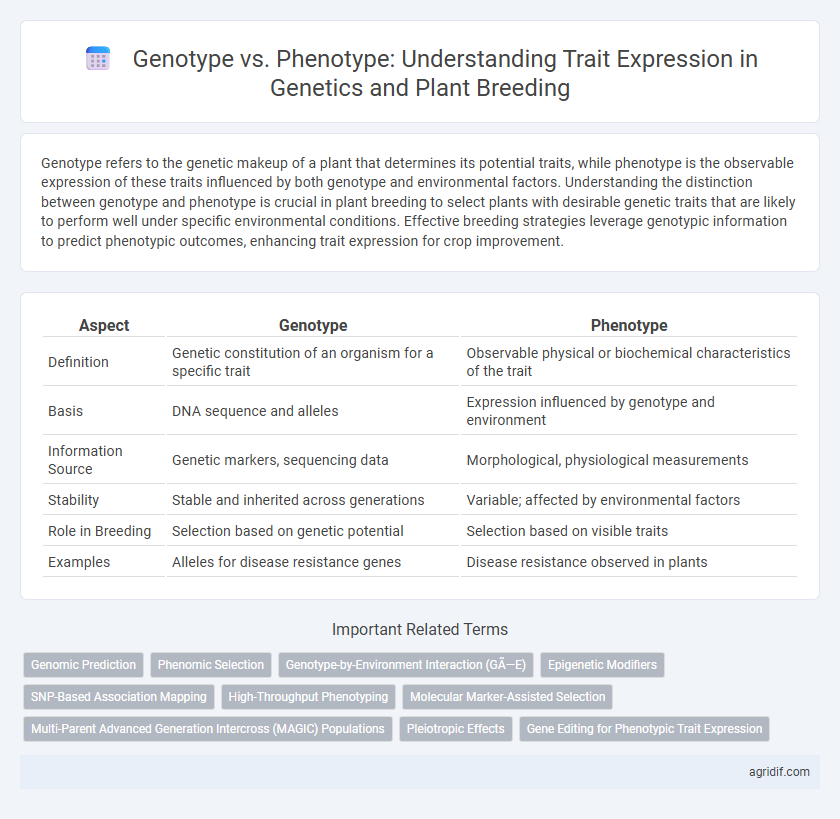 Genotype vs. Phenotype: Understanding Trait Expression in Genetics and Plant Breeding