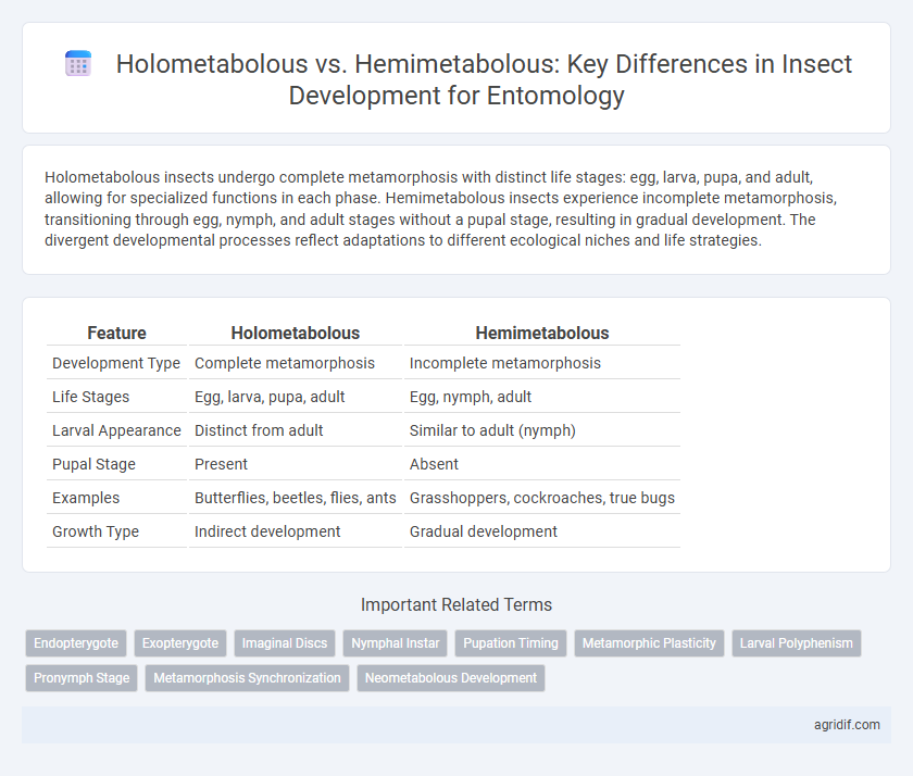 Holometabolous vs. Hemimetabolous: Key Differences in Insect Development for Entomology