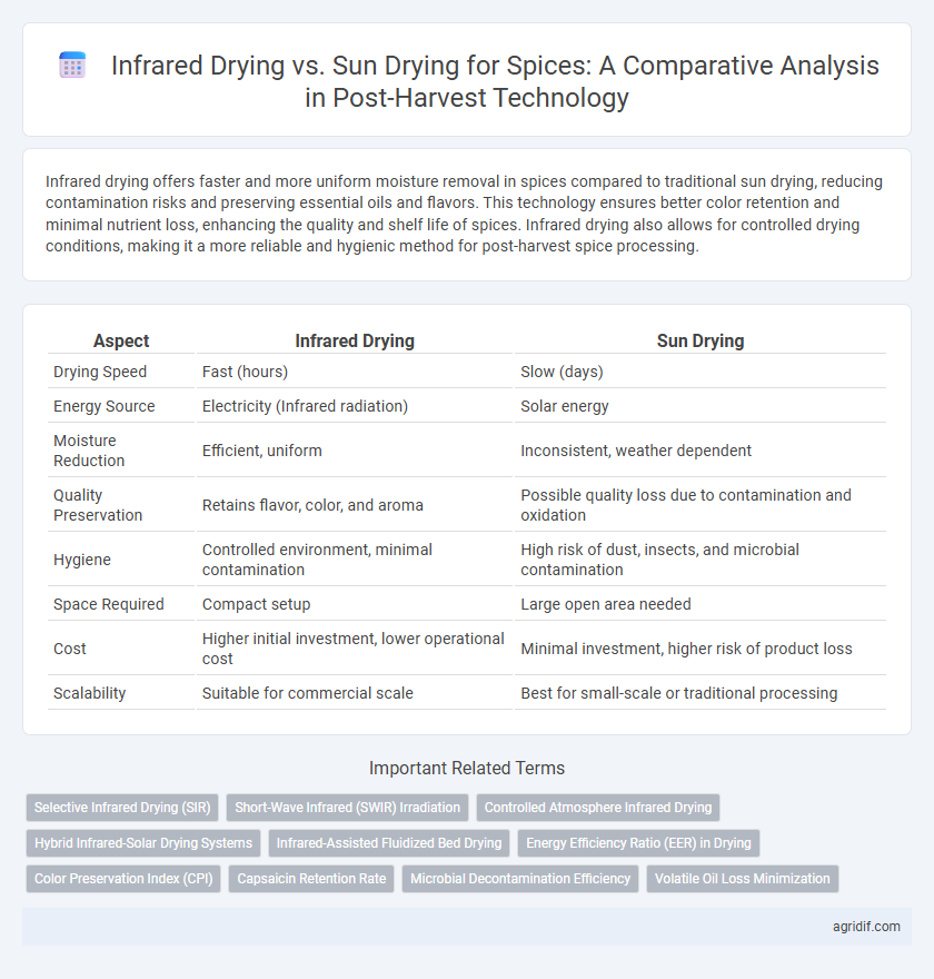 Infrared Drying vs. Sun Drying for Spices: A Comparative Analysis in Post-Harvest Technology