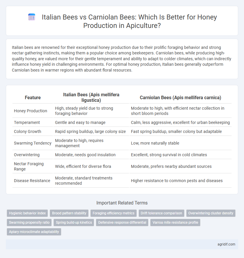 Italian Bees vs Carniolan Bees: Which Is Better for Honey Production in Apiculture?