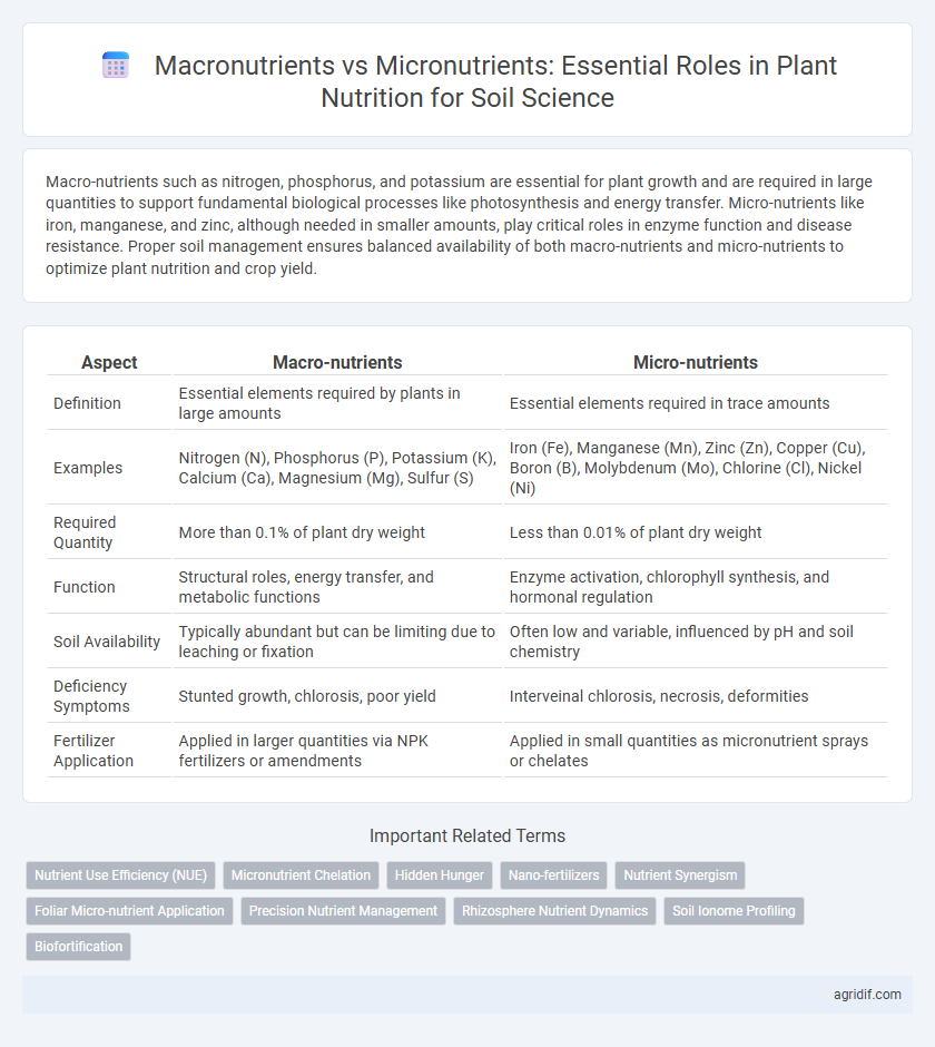 Macronutrients vs Micronutrients: Essential Roles in Plant Nutrition for Soil Science