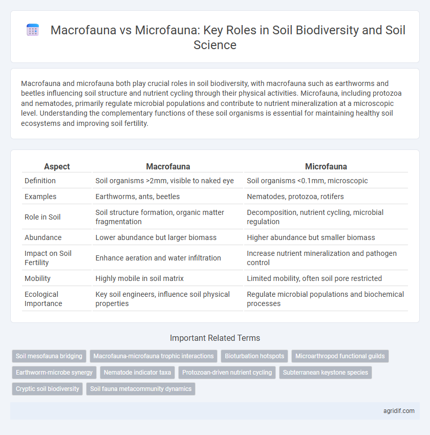 Macrofauna vs Microfauna: Key Roles in Soil Biodiversity and Soil Science