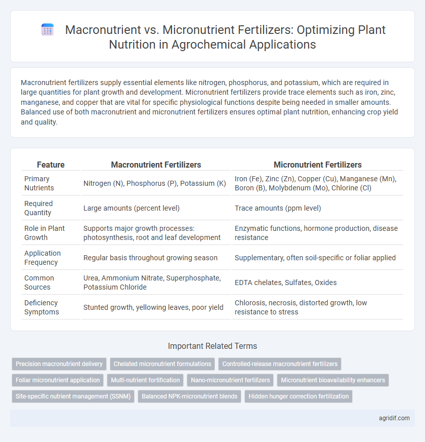 Macronutrient vs. Micronutrient Fertilizers: Optimizing Plant Nutrition in Agrochemical Applications