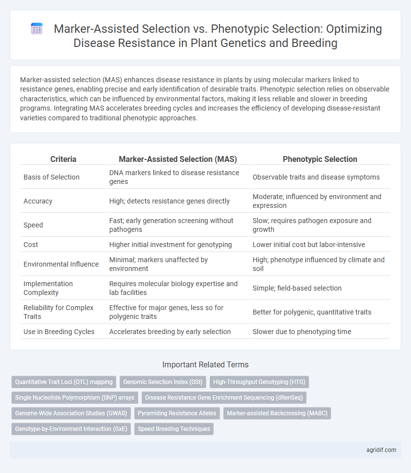 Marker-Assisted Selection vs. Phenotypic Selection: Optimizing Disease Resistance in Plant Genetics and Breeding