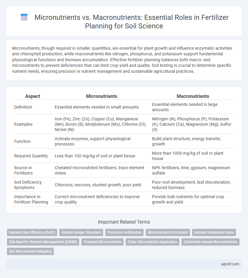 Micronutrients vs. Macronutrients: Essential Roles in Fertilizer Planning for Soil Science