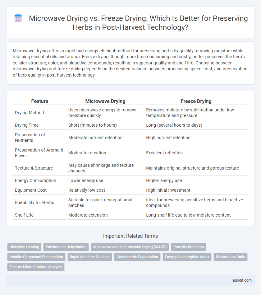 Microwave Drying vs. Freeze Drying: Which Is Better for Preserving Herbs in Post-Harvest Technology?