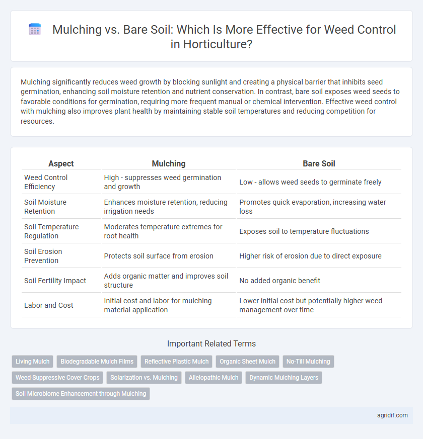 Mulching vs. Bare Soil: Which Is More Effective for Weed Control in Horticulture?