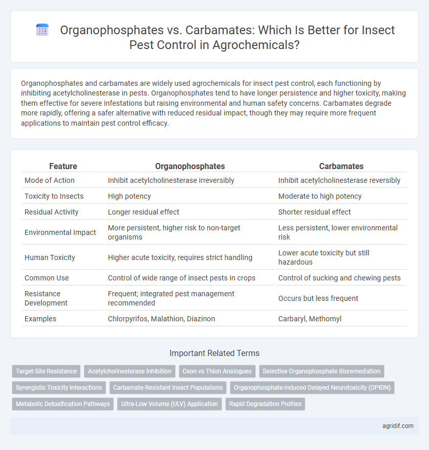Organophosphates vs. Carbamates: Which Is Better for Insect Pest Control in Agrochemicals?