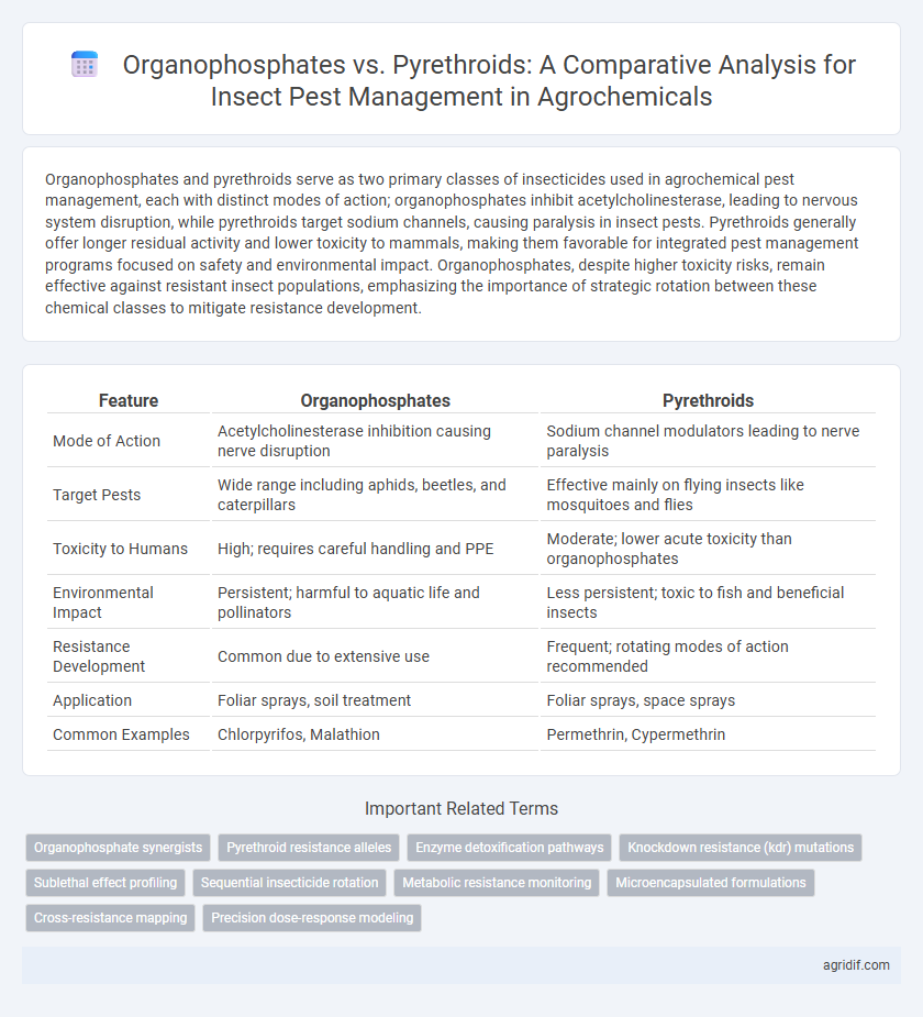 Organophosphates vs. Pyrethroids: A Comparative Analysis for Insect Pest Management in Agrochemicals