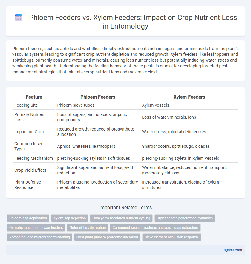 Phloem Feeders vs. Xylem Feeders: Impact on Crop Nutrient Loss in Entomology