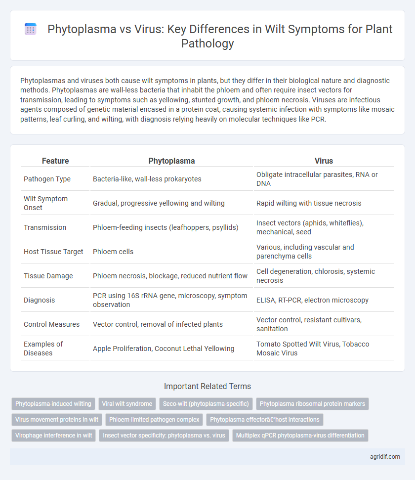 Phytoplasma vs Virus: Key Differences in Wilt Symptoms for Plant Pathology