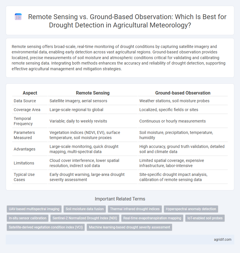 Remote Sensing vs. Ground-Based Observation: Which Is Best for Drought Detection in Agricultural Meteorology?