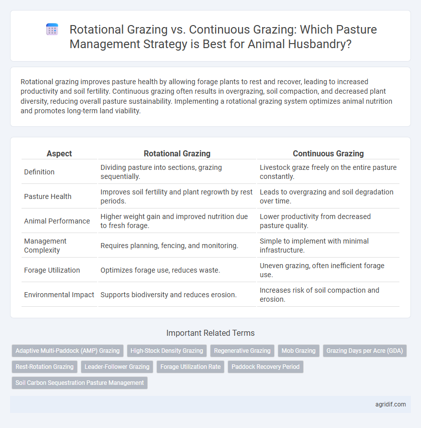 Rotational Grazing vs. Continuous Grazing: Which Pasture Management Strategy is Best for Animal Husbandry?