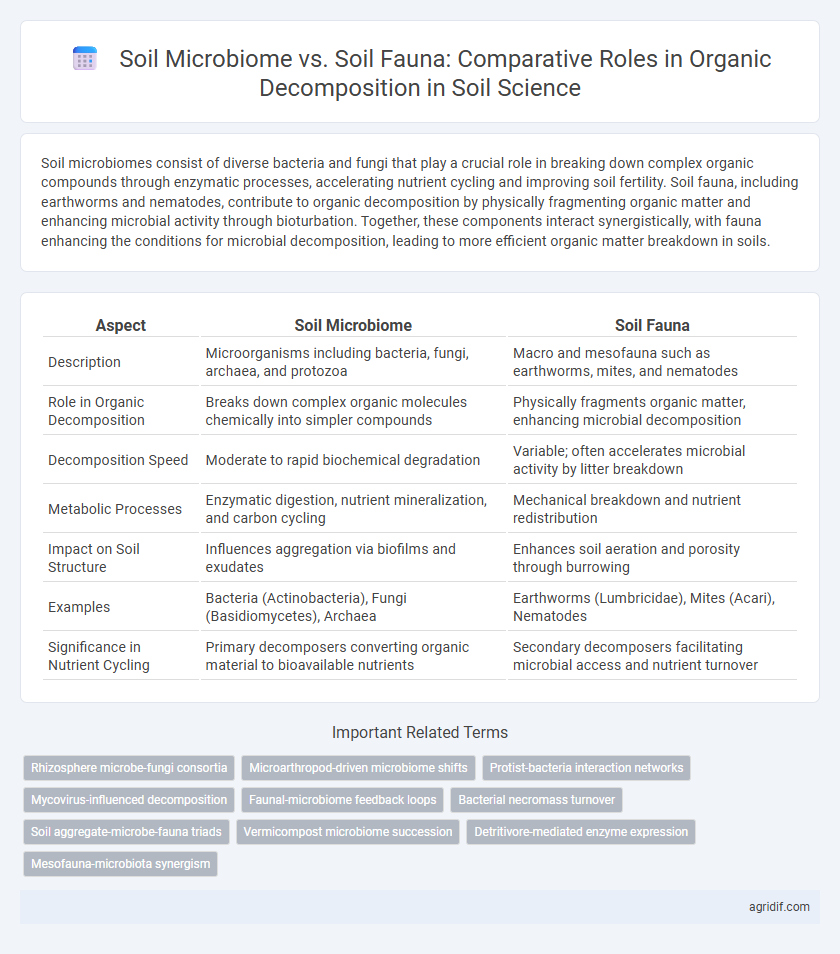 Soil Microbiome vs. Soil Fauna: Comparative Roles in Organic Decomposition in Soil Science