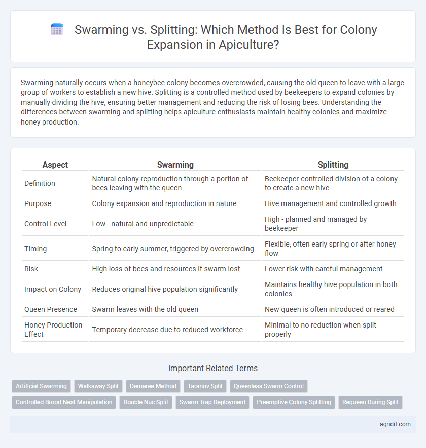 Swarming vs. Splitting: Which Method Is Best for Colony Expansion in Apiculture?