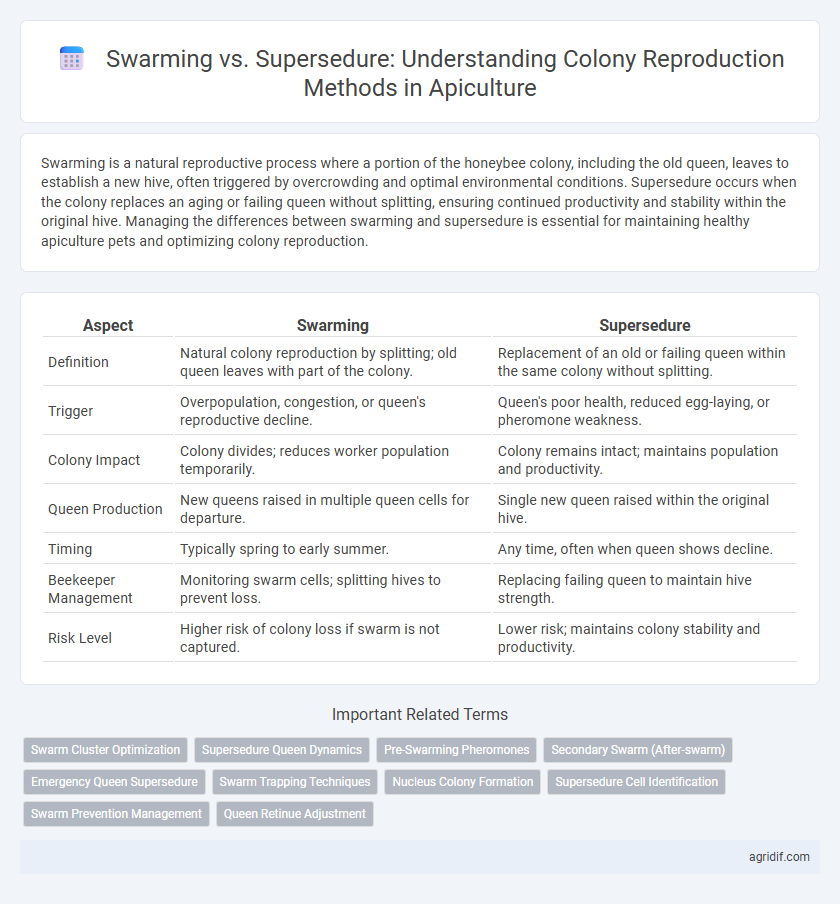Swarming vs. Supersedure: Understanding Colony Reproduction Methods in Apiculture