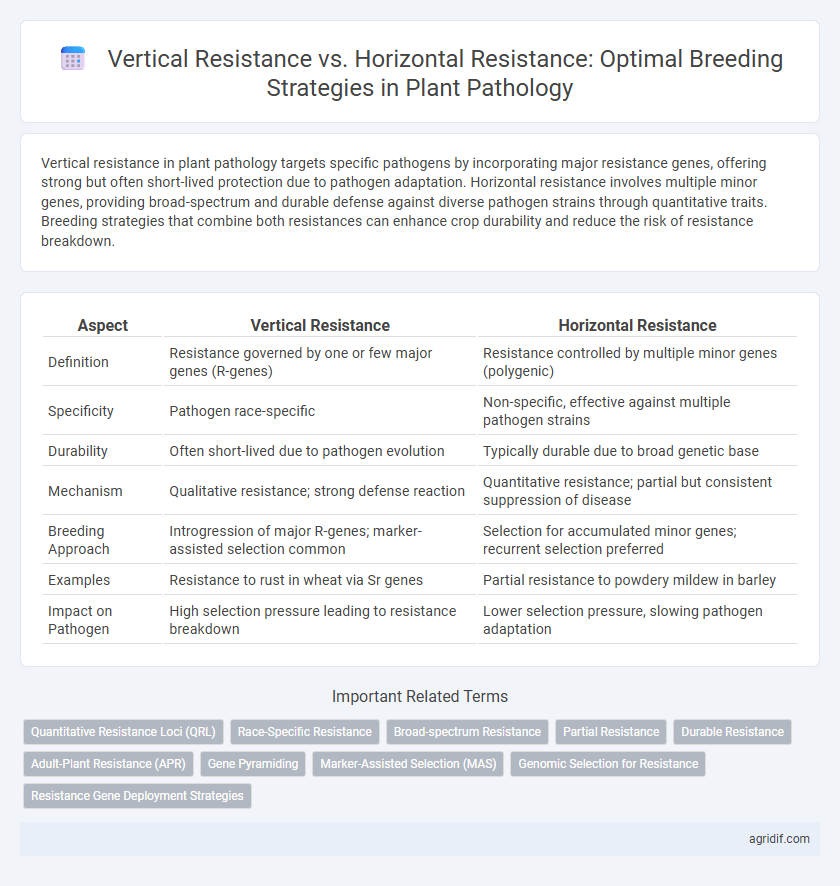 Vertical Resistance vs. Horizontal Resistance: Optimal Breeding Strategies in Plant Pathology