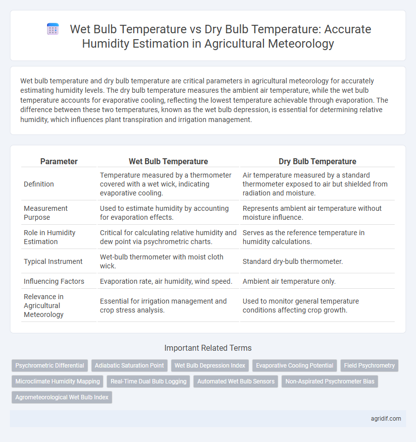 Wet Bulb Temperature vs Dry Bulb Temperature: Accurate Humidity Estimation in Agricultural Meteorology
