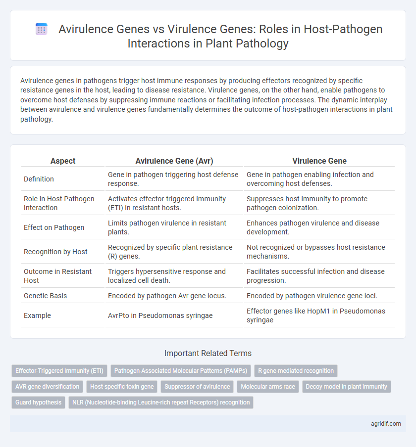 Avirulence Genes vs Virulence Genes: Roles in Host-Pathogen Interactions in Plant Pathology