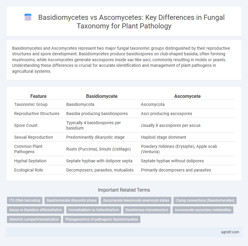 Basidiomycetes vs Ascomycetes: Key Differences in Fungal Taxonomy for Plant Pathology