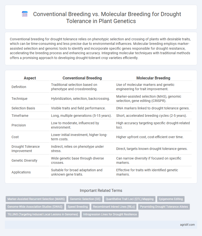 Conventional Breeding vs. Molecular Breeding for Drought Tolerance in Plant Genetics