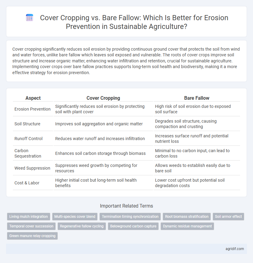 Cover Cropping vs. Bare Fallow: Which Is Better for Erosion Prevention in Sustainable Agriculture?