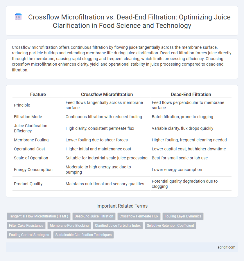 Crossflow Microfiltration vs. Dead-End Filtration: Optimizing Juice Clarification in Food Science and Technology