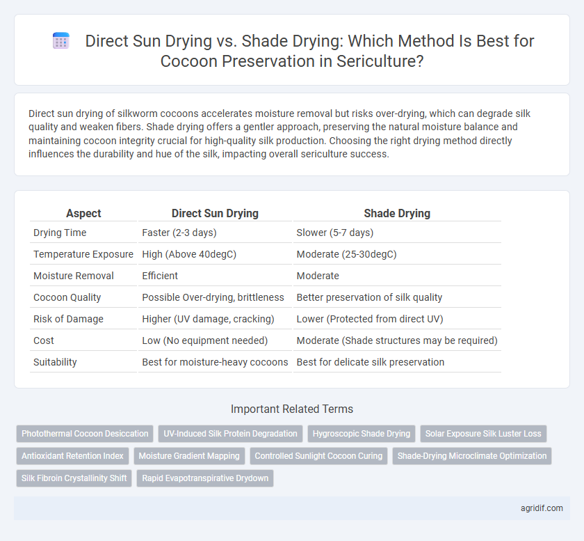 Direct Sun Drying vs. Shade Drying: Which Method Is Best for Cocoon Preservation in Sericulture?