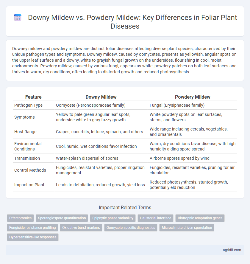 Downy Mildew vs. Powdery Mildew: Key Differences in Foliar Plant Diseases