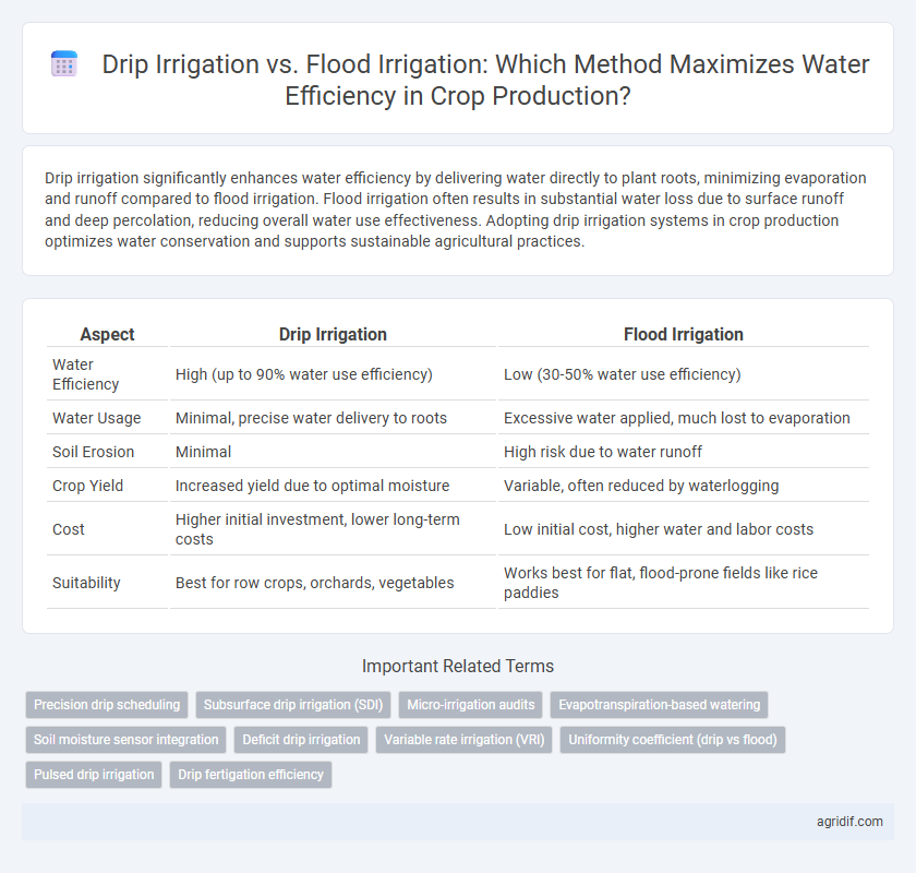 Drip Irrigation vs. Flood Irrigation: Which Method Maximizes Water Efficiency in Crop Production?