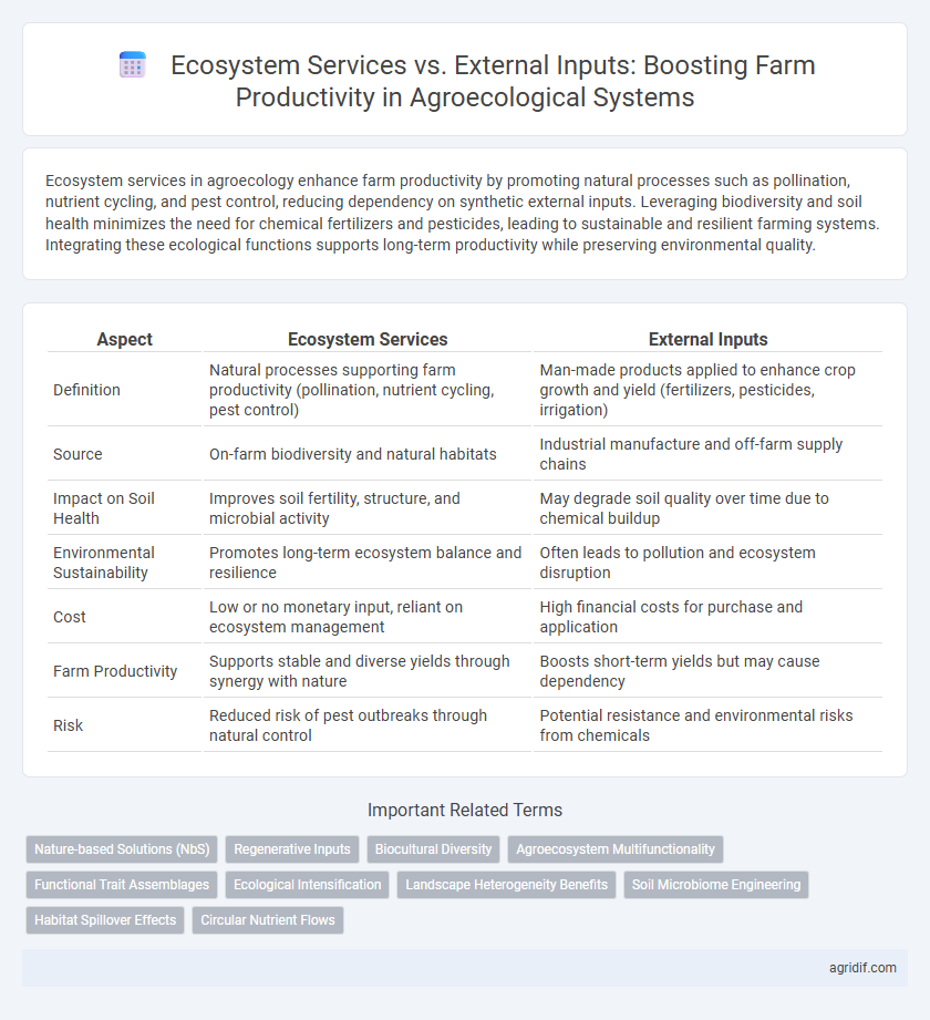 Ecosystem Services vs. External Inputs: Boosting Farm Productivity in Agroecological Systems