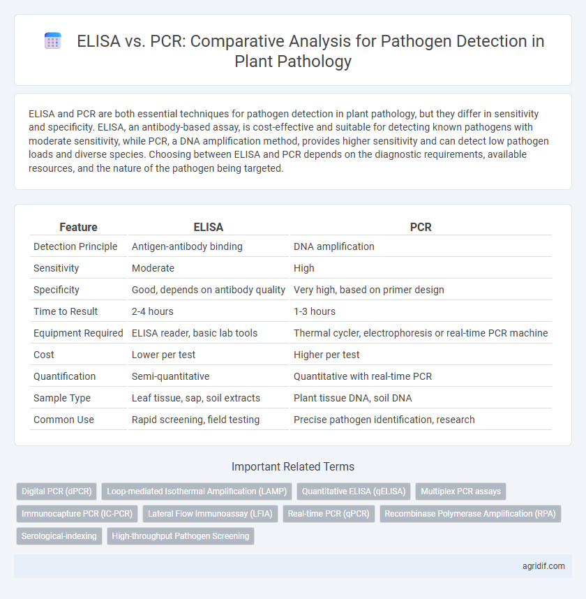 ELISA vs. PCR: Comparative Analysis for Pathogen Detection in Plant Pathology