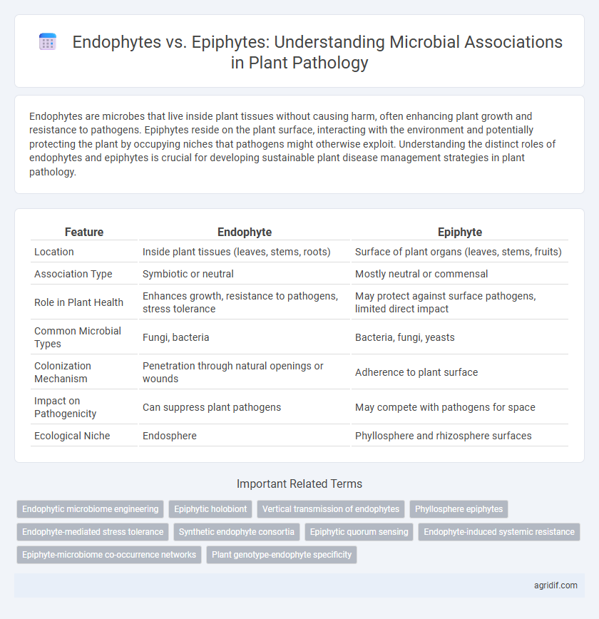 Endophytes vs. Epiphytes: Understanding Microbial Associations in Plant Pathology