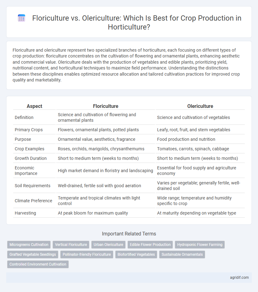 Floriculture vs. Olericulture: Which Is Best for Crop Production in Horticulture?
