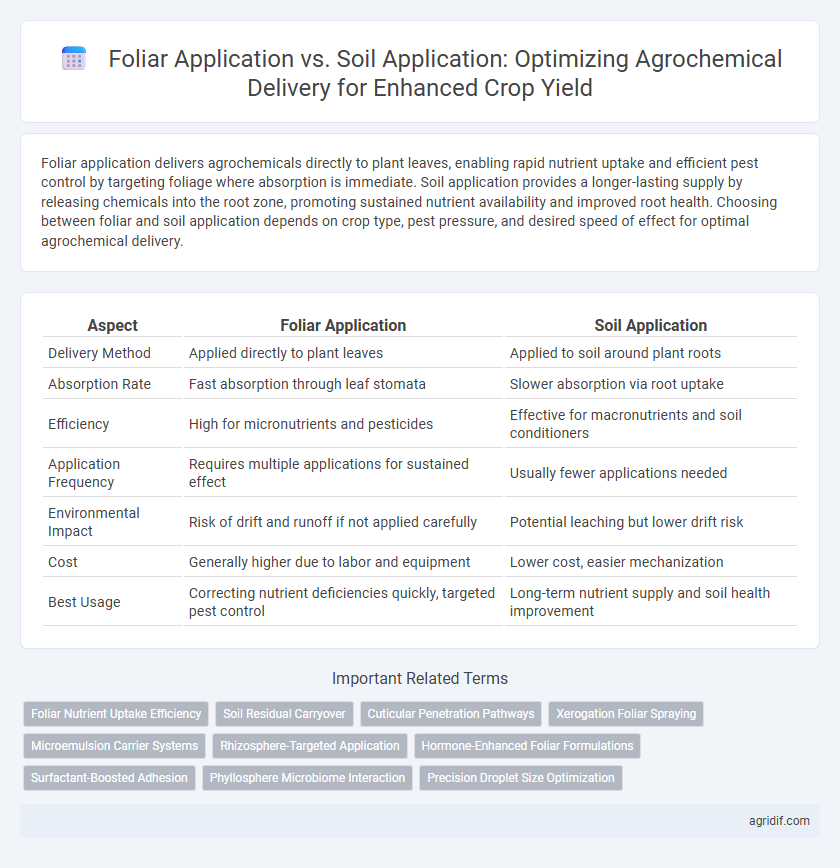 Foliar Application vs. Soil Application: Optimizing Agrochemical Delivery for Enhanced Crop Yield