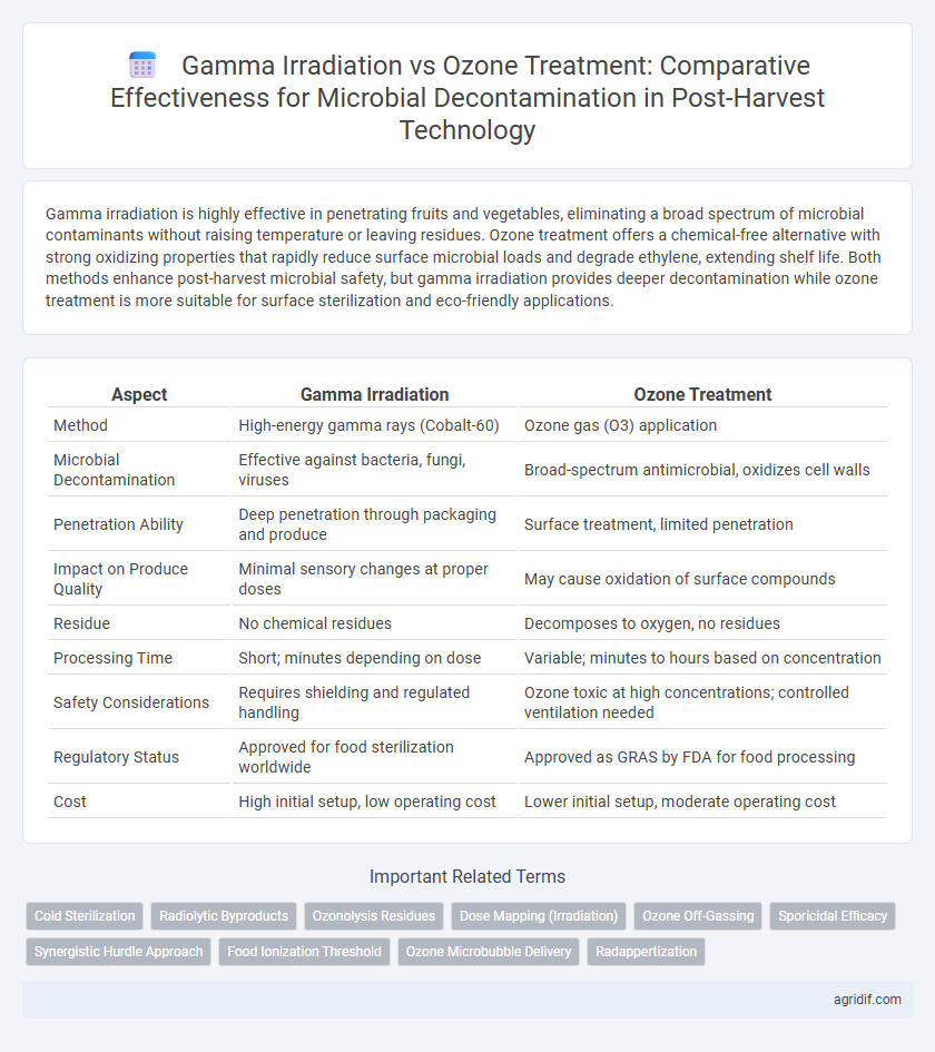 Gamma Irradiation vs Ozone Treatment: Comparative Effectiveness for Microbial Decontamination in Post-Harvest Technology