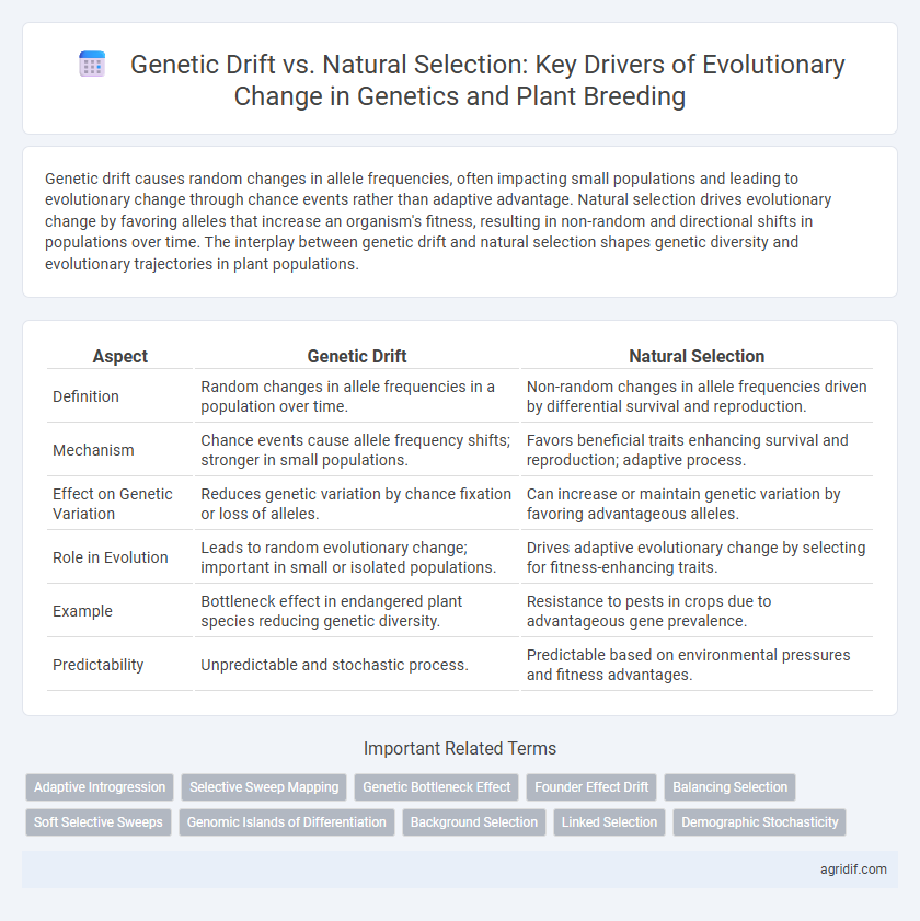 Genetic Drift vs. Natural Selection: Key Drivers of Evolutionary Change in Genetics and Plant Breeding