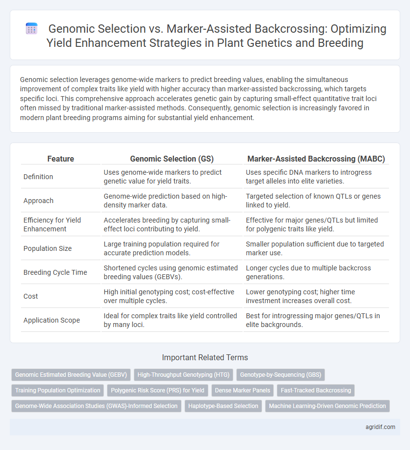 Genomic Selection vs. Marker-Assisted Backcrossing: Optimizing Yield Enhancement Strategies in Plant Genetics and Breeding