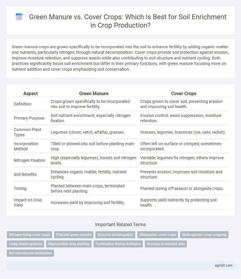 Green Manure vs. Cover Crops: Which Is Best for Soil Enrichment in Crop Production?